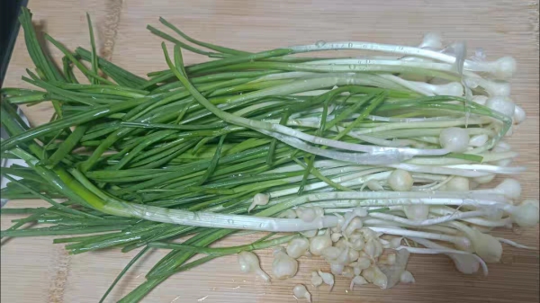 成都温江附近的高端养老院一暄康养提醒你吃野菜的注意事项 (3)