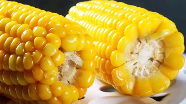 皮肤瘙痒时饮食上要注意什么？成都养老院一暄康养为您解答-玉米