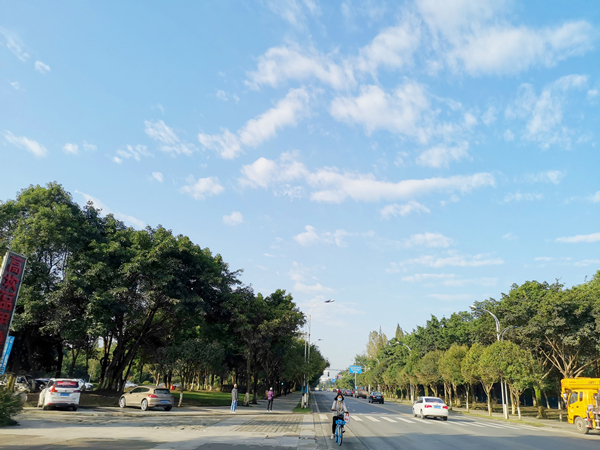 成都秋阳里美丽的天空