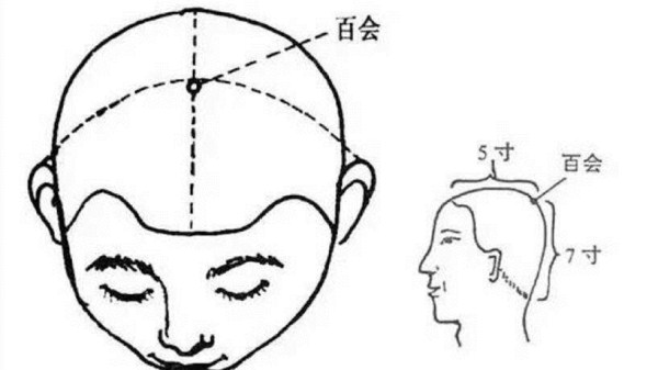 半月谈-百会穴