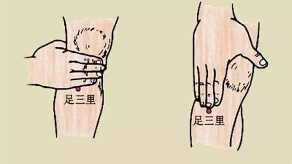 半月谈-足三里穴
