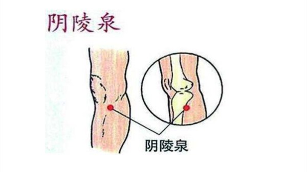 半月谈-阴陵泉