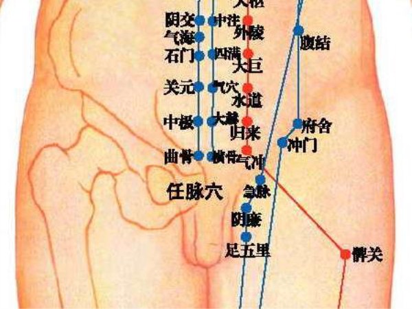 如何确认经络已经打通（上期）-插图4