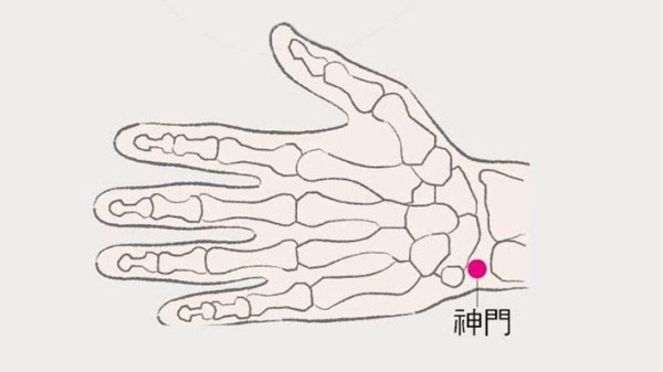 半月谈-神门穴