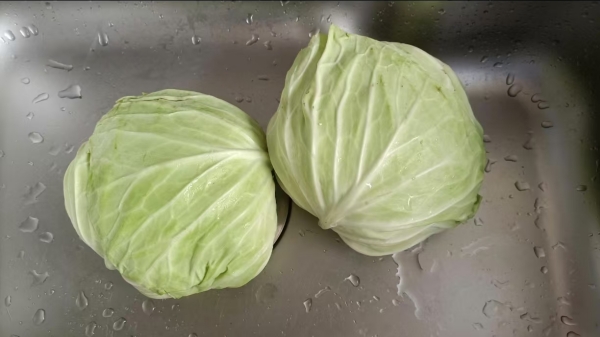 成都养老院夏季时令蔬菜推荐——卷心菜