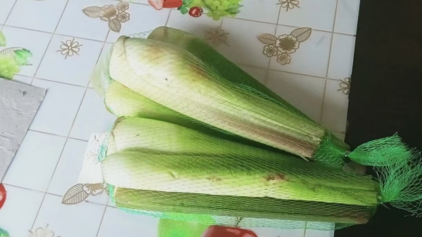 成都养老院夏季时令蔬菜推荐——茭白