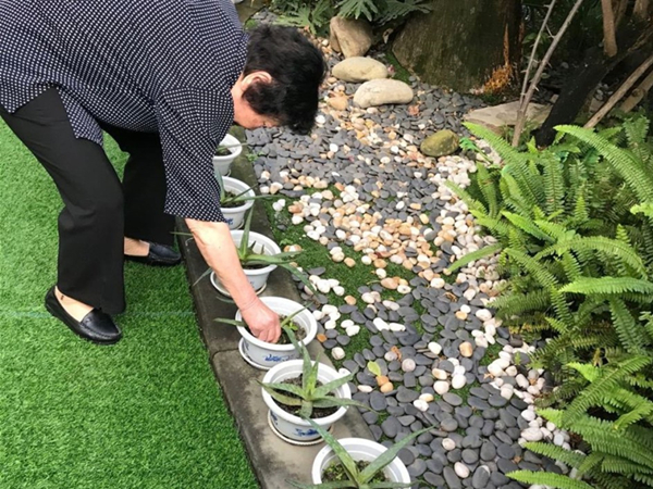 成都养老院一暄康养园艺家|天使会和我们毗邻而居