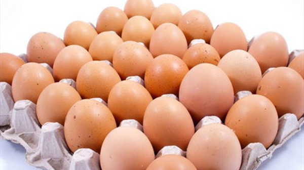 成都养老院一暄康养提醒最易导致发胖的两种食物搭配（2）-鸡蛋2