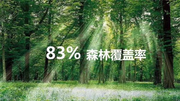 83%森林覆盖率