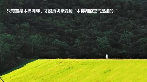 一暄康养带您远离冬季严重的雾霾污染