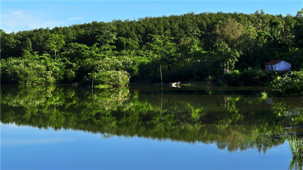 海南木棉湖景致