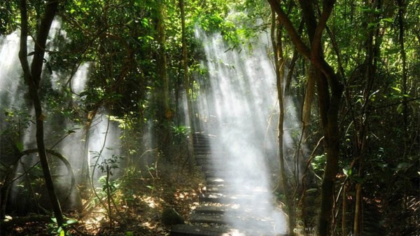 海南木棉湖专属配套-热带森林公园1
