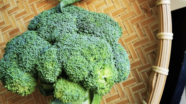成都养老院经验分享-一暄康养-适合中老年的健康饮食搭配-蔬菜香菇