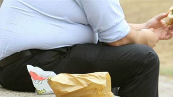 成都养老院一暄康养提醒可能会导致肥胖的原因（2）-肥胖2