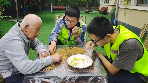 成都高端养老院一暄康养经验分享——适合老年人种植的花草推荐：桂花2
