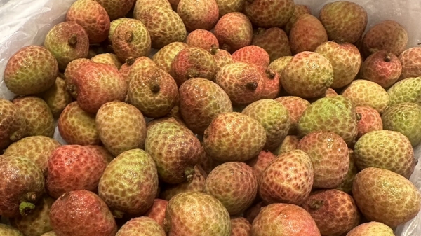 【一暄康养】过敏体质食用荔枝过量易致哮喘