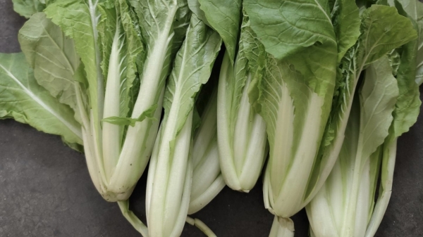 成都星级养老院经验分享：养肝排毒食物-白菜