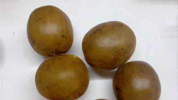 一暄康养分享8元验方治疗久咳嗽不好