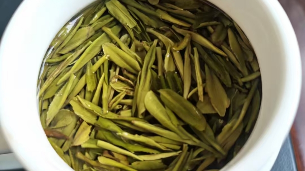 青羊区养老院-一暄康养-生活常识从小处着眼，受益匪浅-茶叶